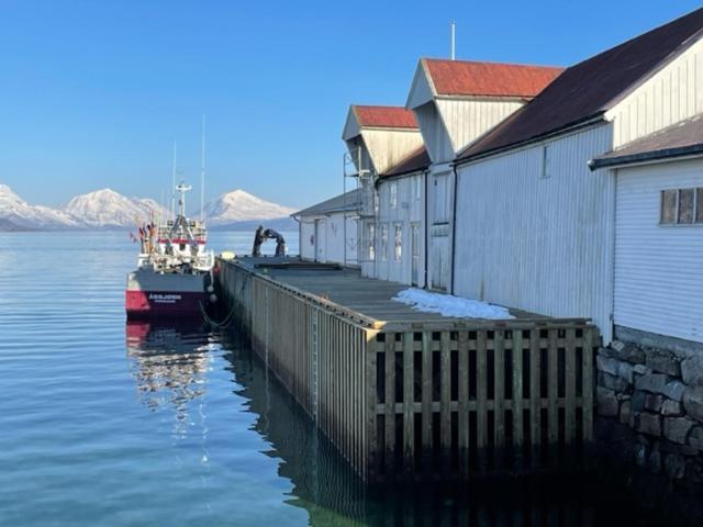 1. Etg I Dampskipsbrygga, Lodingen Havn Esterno foto